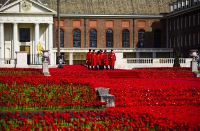 5000 Poppies - Chelsea
