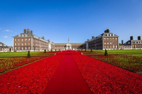 5000 Poppies - Chelsea