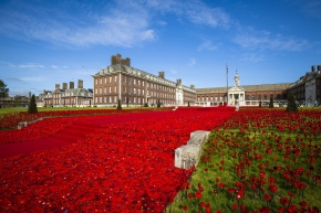 5000 Poppies - Chelsea