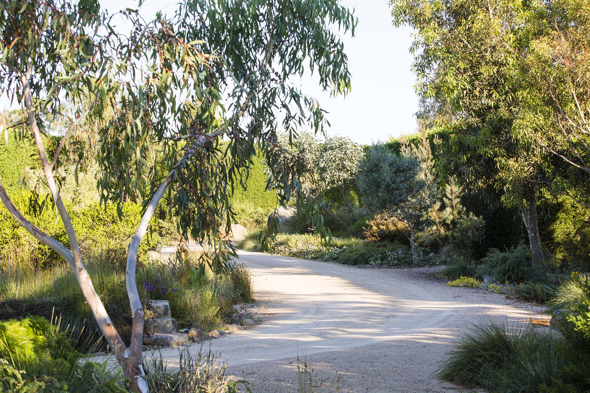 Banksia Bend - Yarra Valley